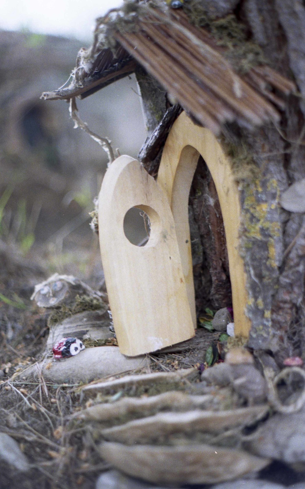 Los duendes de Bureta Bosque encantado de Bureta