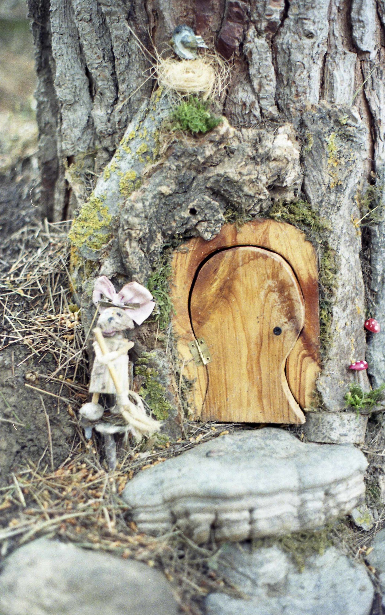 Los duendes de Bureta Bosque encantado de Bureta
