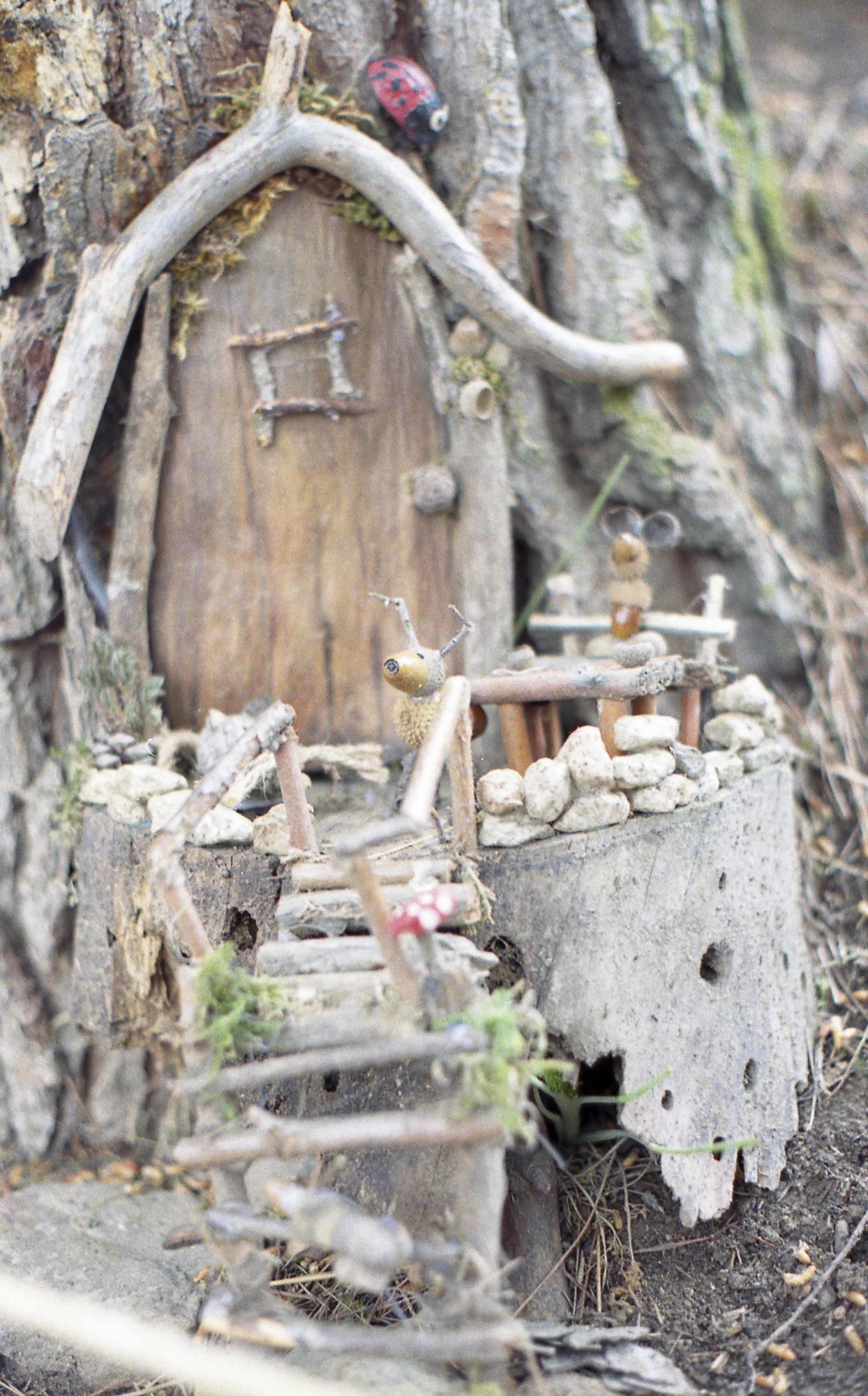 Los duendes de Bureta Bosque encantado de Bureta
