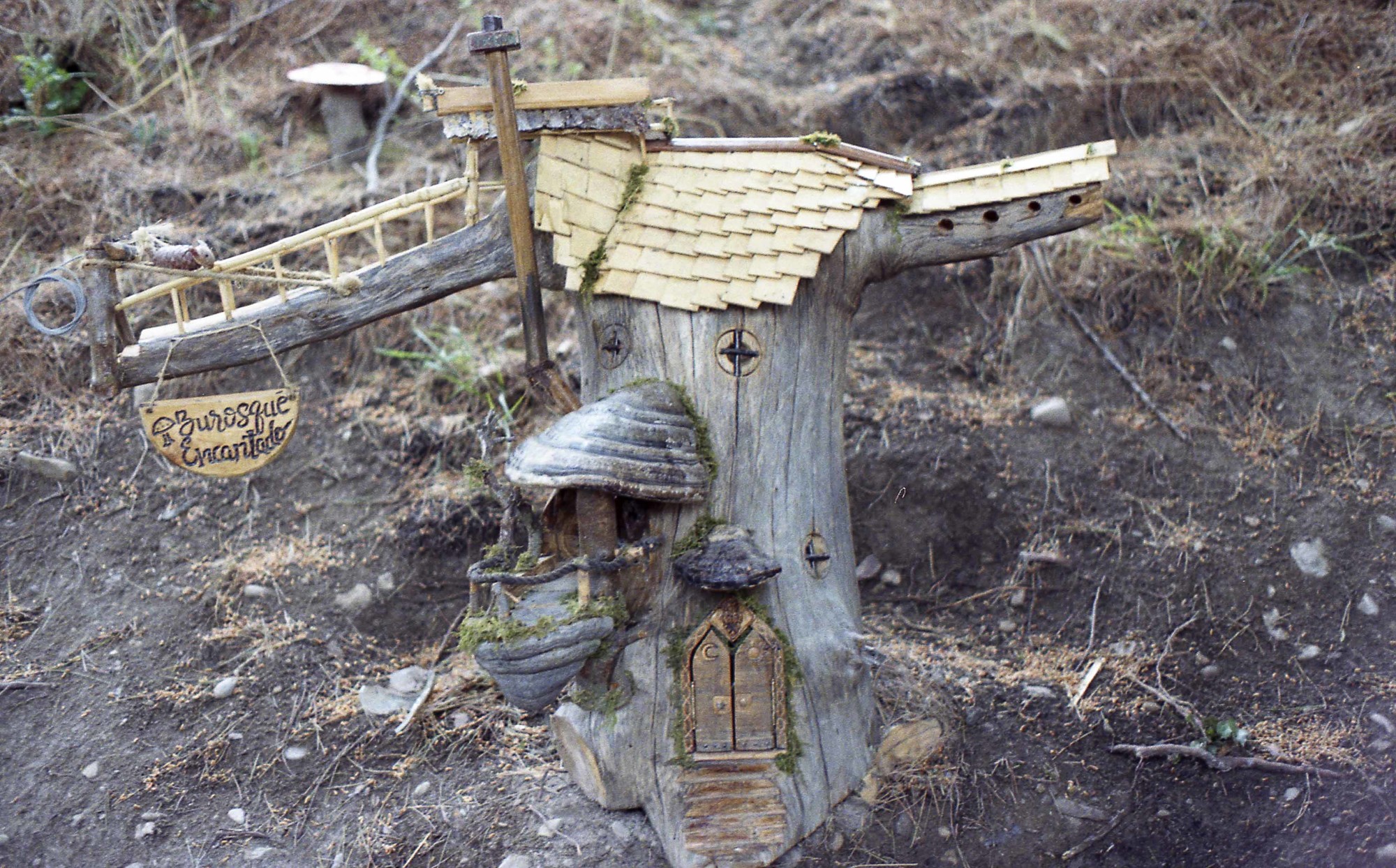 Los duendes de Bureta Bosque encantado de Bureta