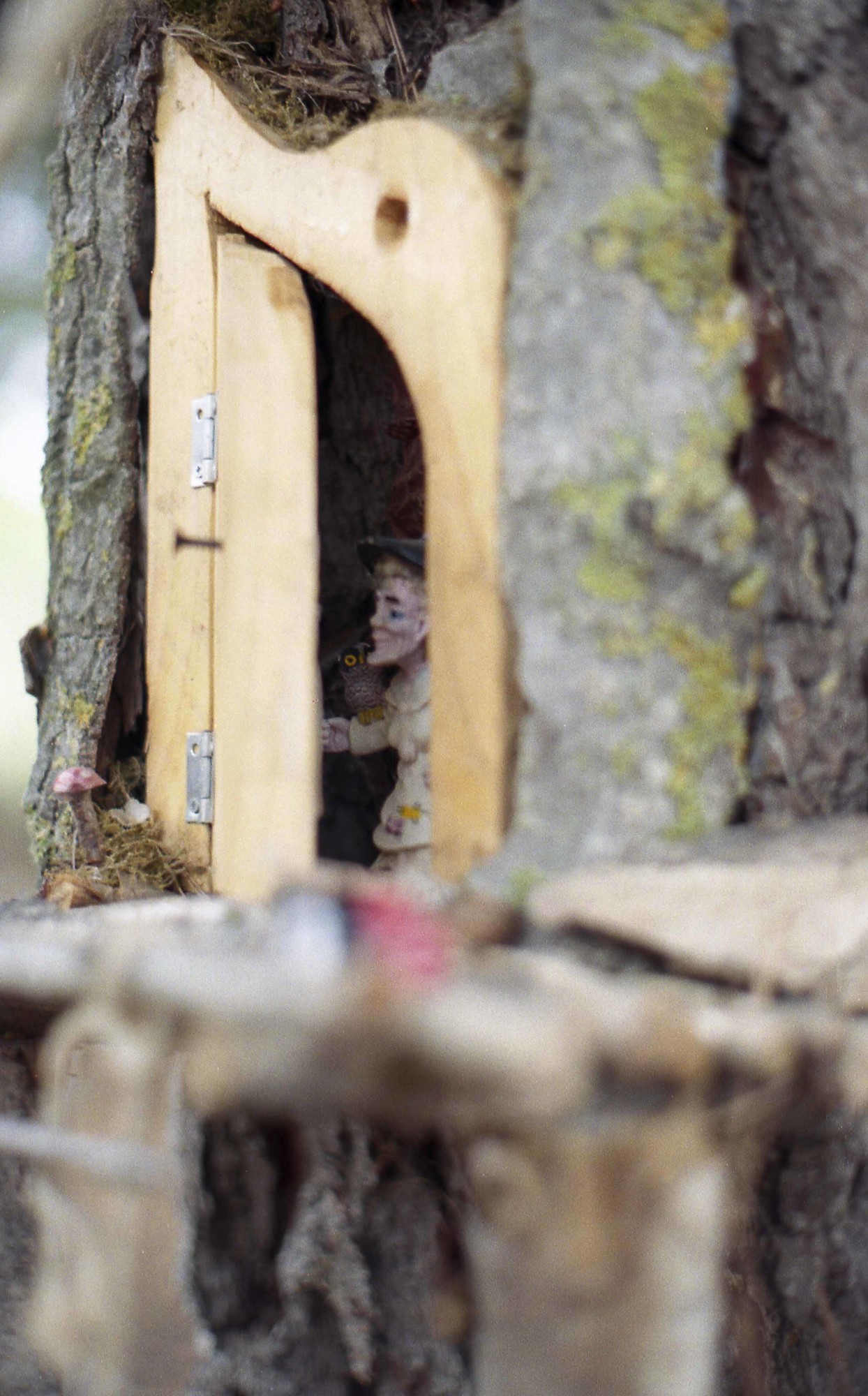 Los duendes de Bureta Bosque encantado de Bureta