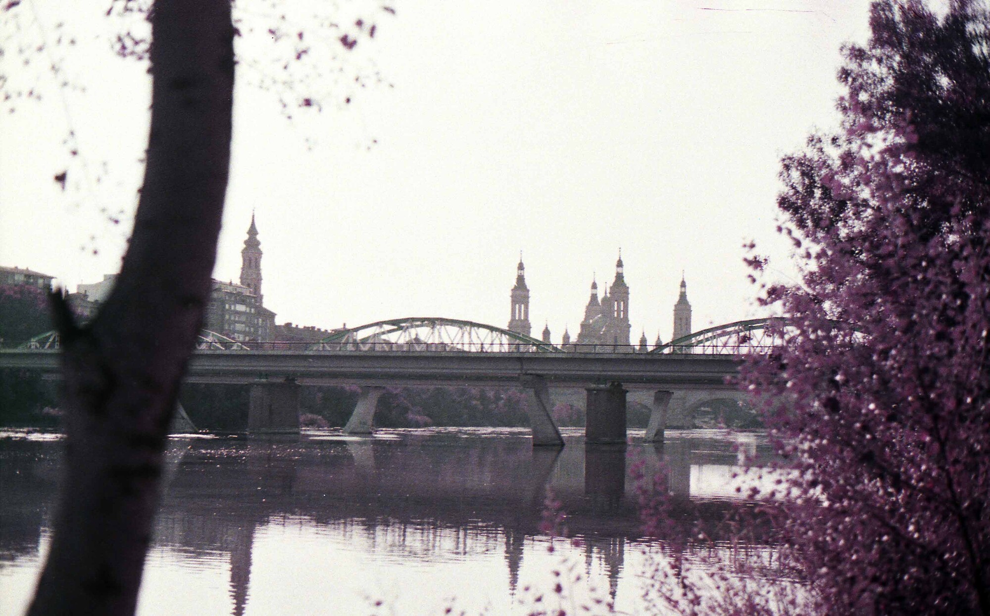 El Pilar y el Ebro Zaragoza