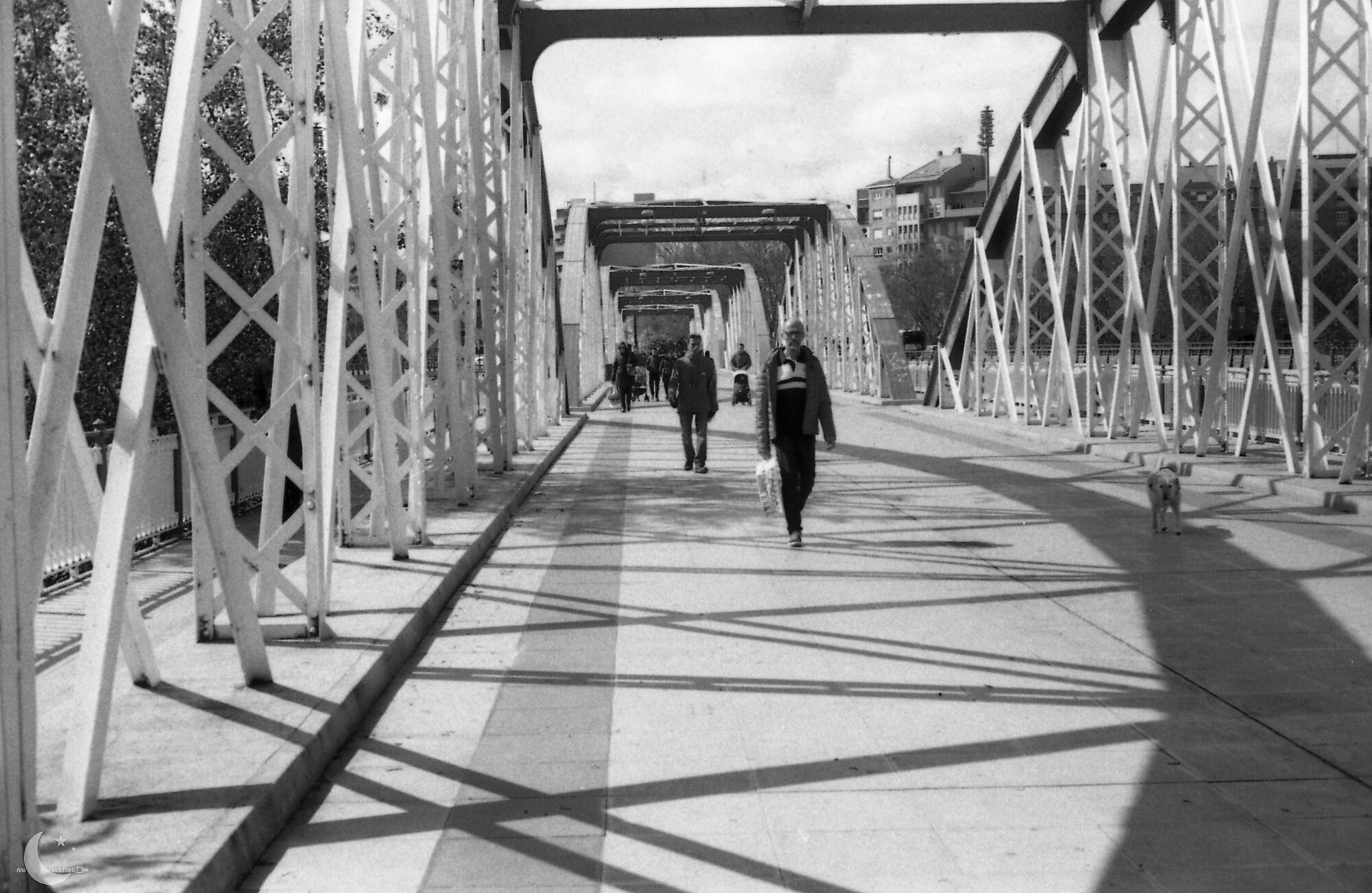 El Puente de Hierro Zaragoza