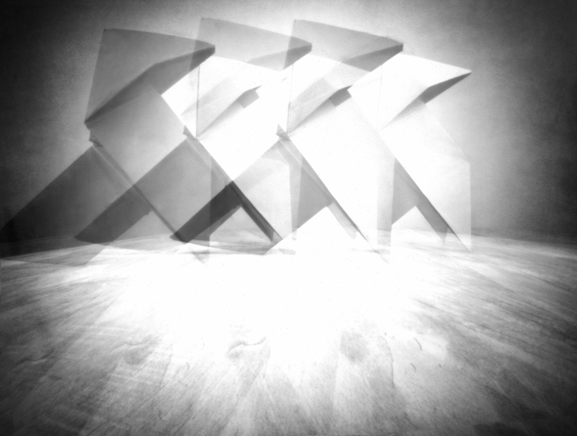 Bodegón -El Ciclo Vital- 