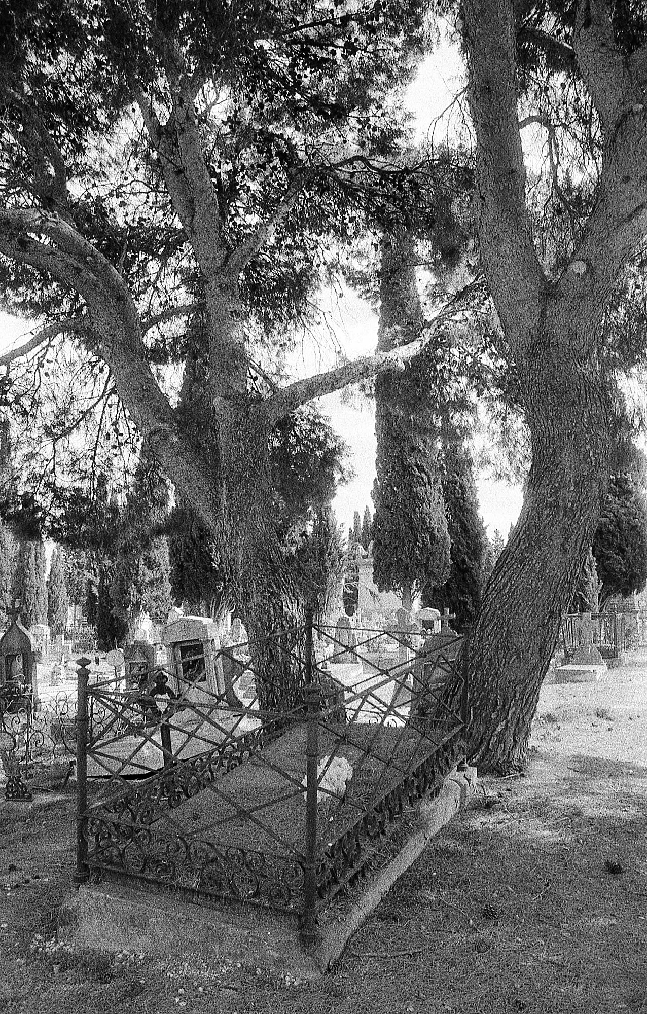 Ana Cosculluela (Hada de Plata) - cementerio-zgz-08.jpg